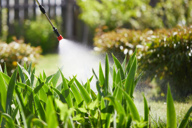 24/7 Emergency Cockroach Control experts in Marion, KY